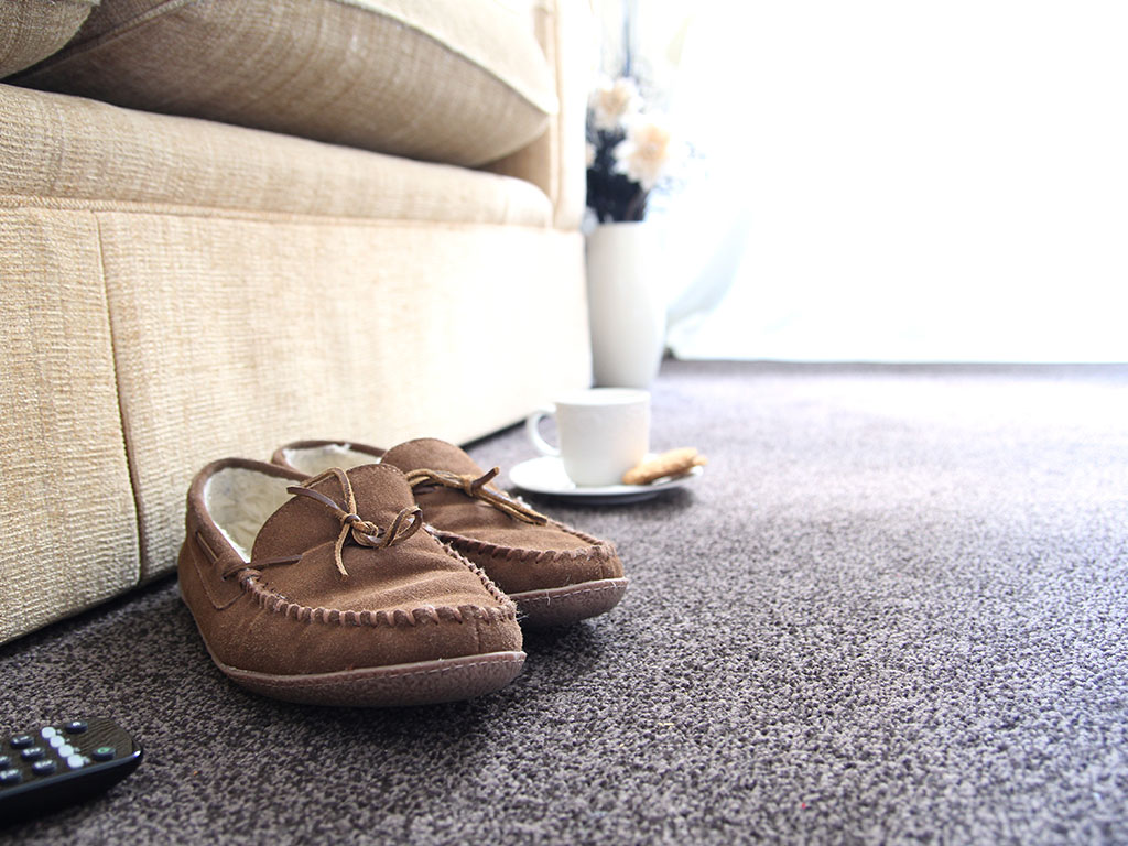 Pair of moccasins sitting next to couch on carpeted floor